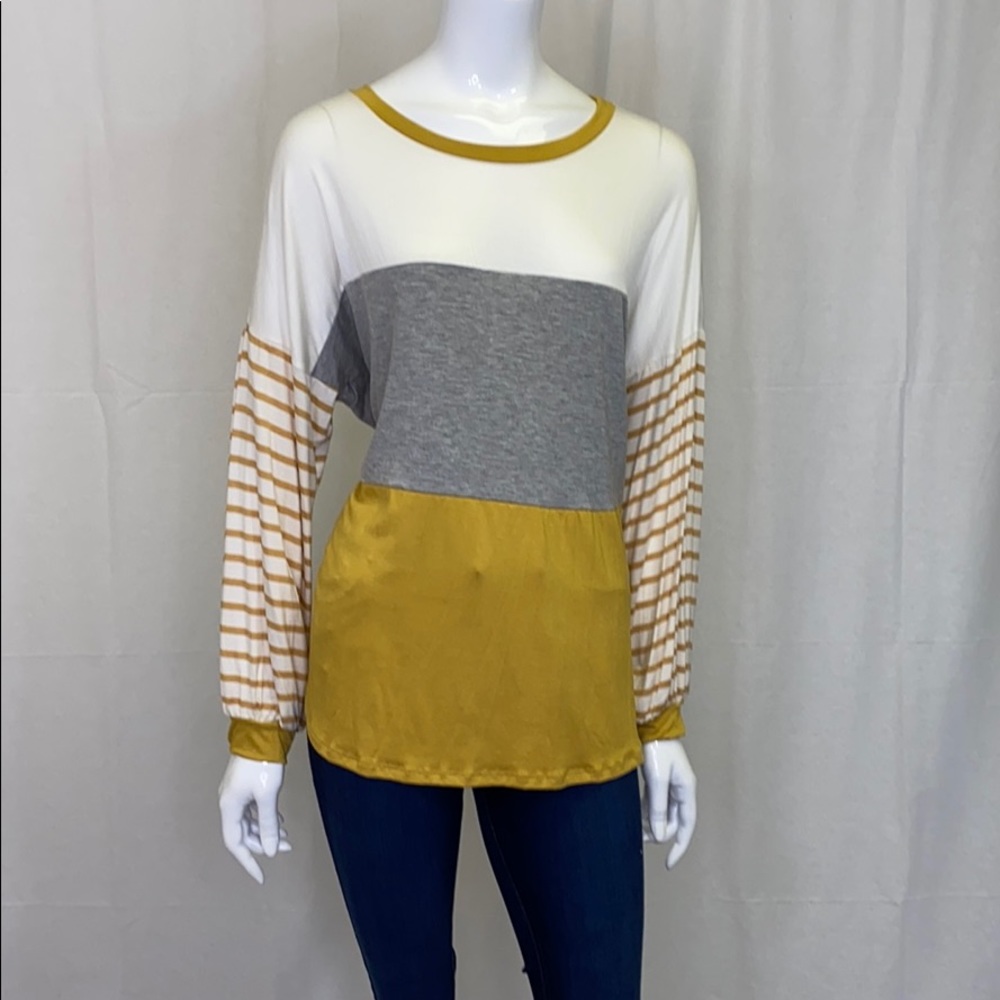 πHost Pick 3/2π Plus Size Color Block Top - Picture 1 of 1